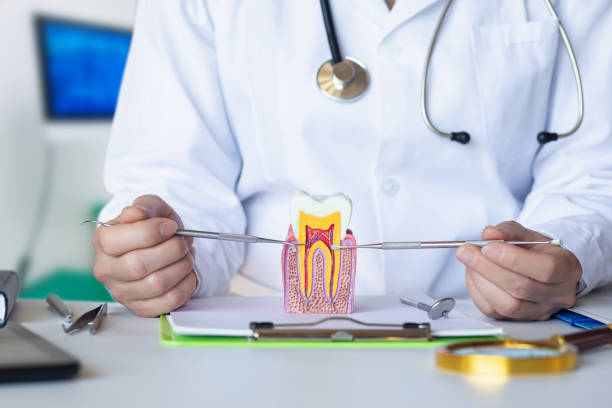 Best Emergency TMJ Treatment in Oakland, NE